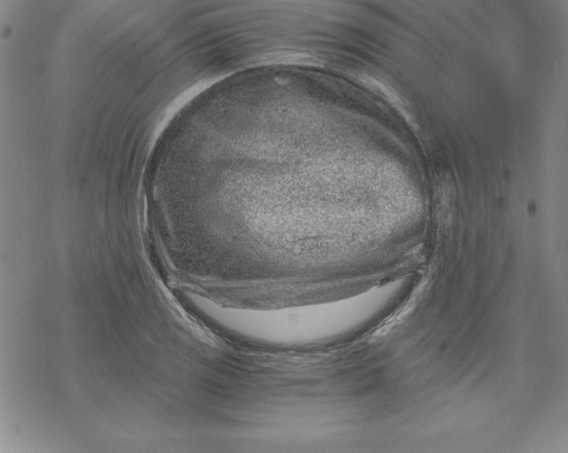 X0000069831125200606021330