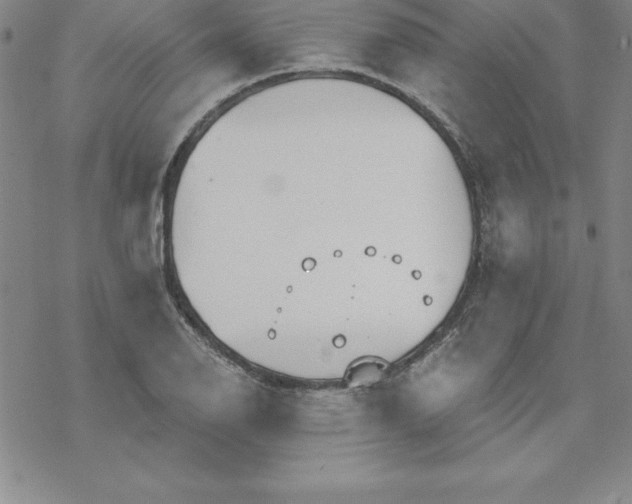 X0000069831126200606021330