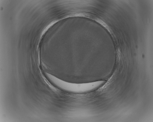 X0000069831127200606021330