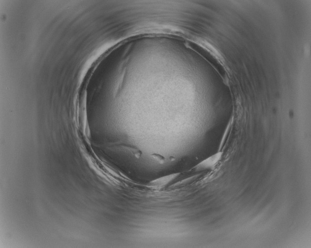 X0000069831128200606021330