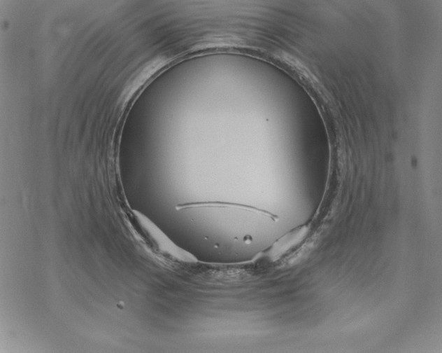 X0000069831129200606021330