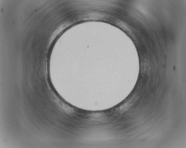 X0000069831130200606021330