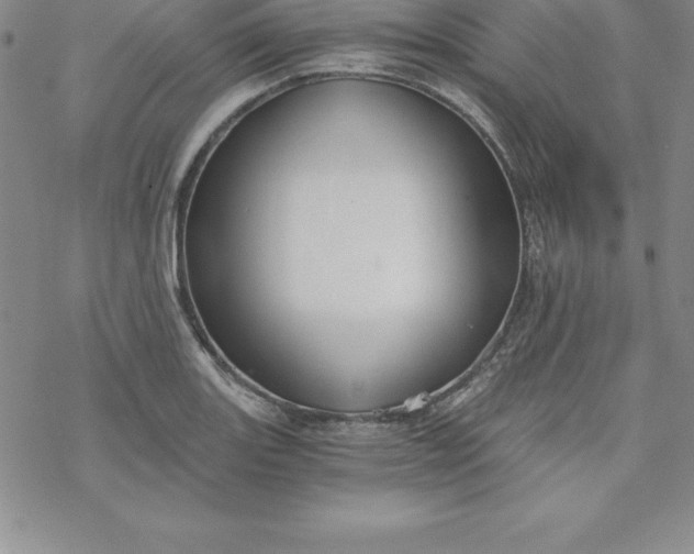 X0000069831131200606021330