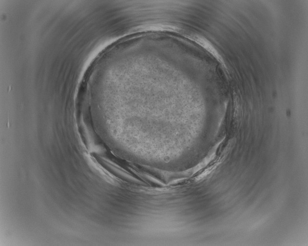 X0000069831132200606021330