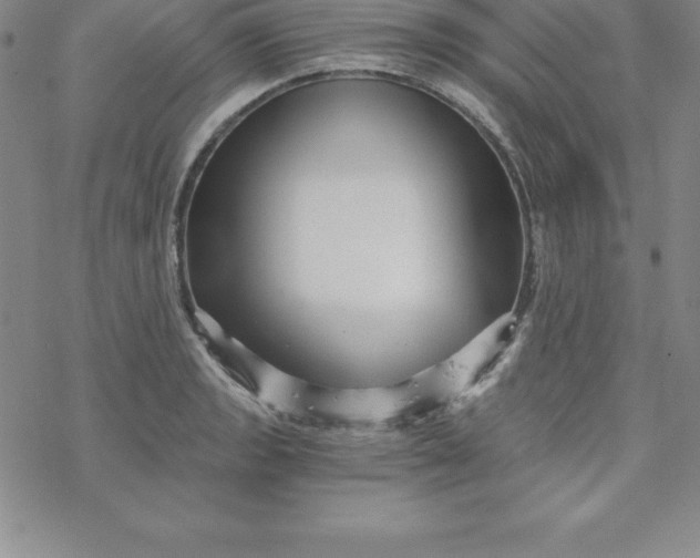 X0000069831133200606021330