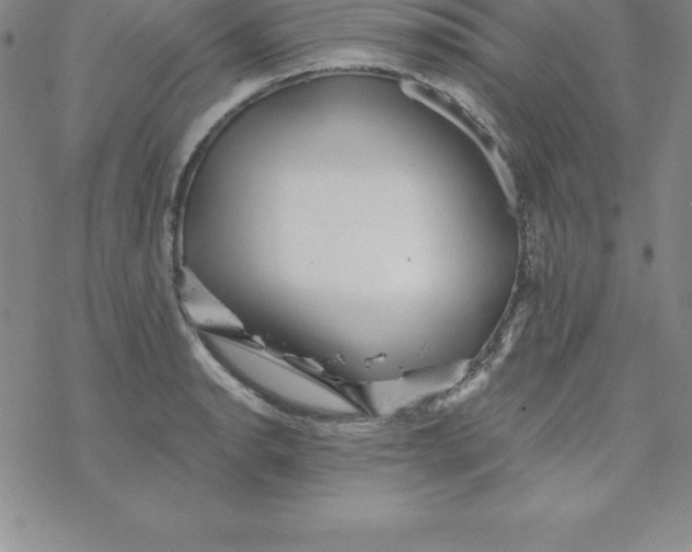 X0000069831134200606021330