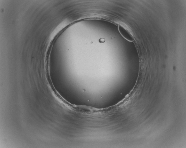 X0000069831135200606021330