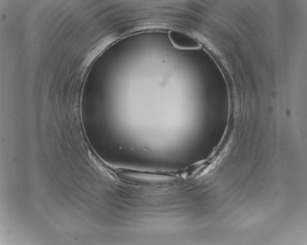 X0000069831137200606021330