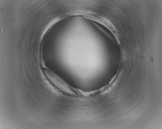 X0000069831138200606021330