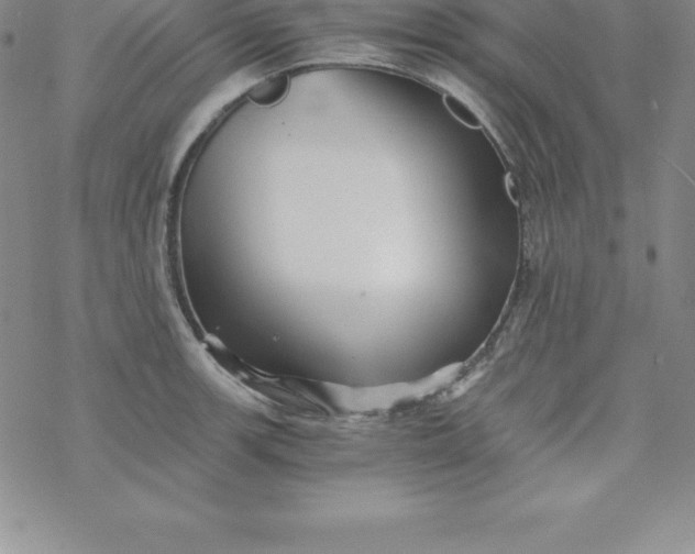 X0000069831139200606021330