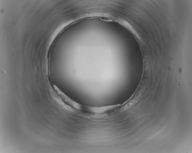 X0000069831140200606021330