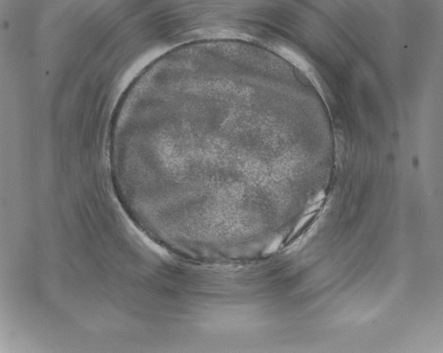 X0000069831141200606021330