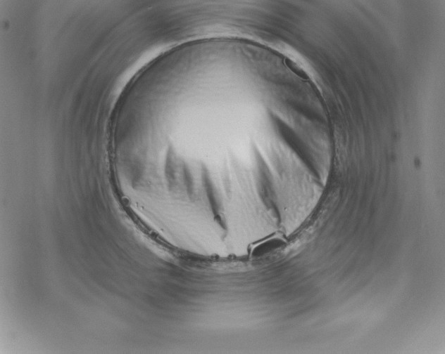 X0000069831142200606021330