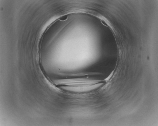 X0000069831143200606021330