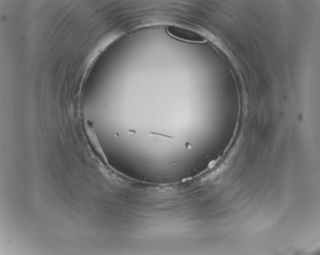 X0000069831145200606021330