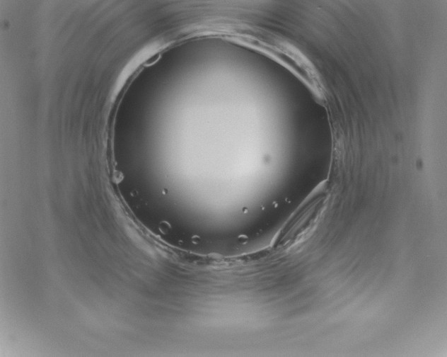 X0000069831146200606021330