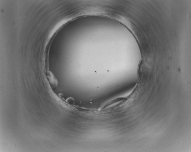 X0000069831147200606021330