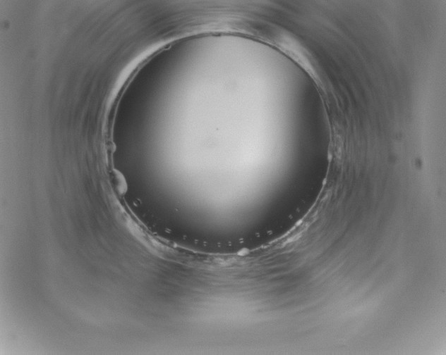 X0000069831148200606021330