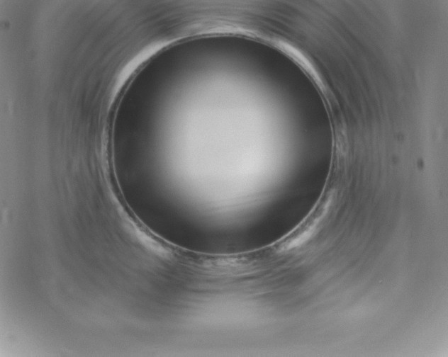 X0000069831149200606021330