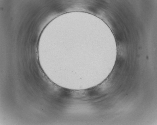 X0000069831150200606021330