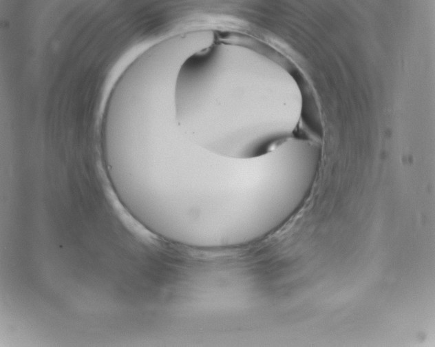 X0000069831152200606021330