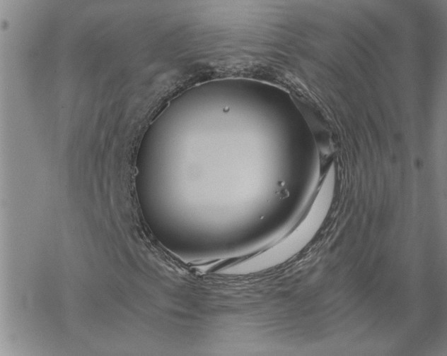 X0000069831153200606021329