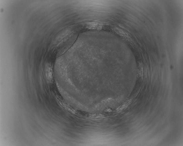 X0000069831154200606021329