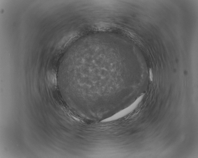 X0000069831155200606021329