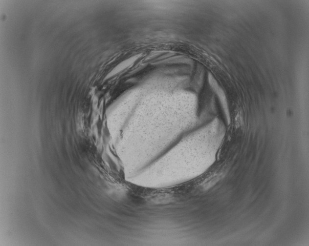 X0000069831156200606021329