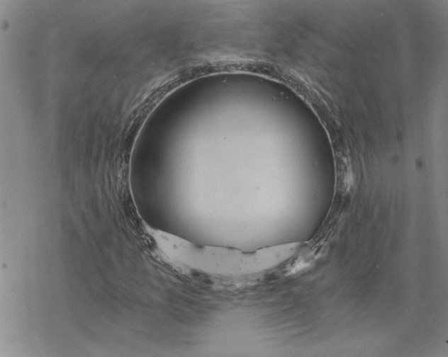 X0000069831157200606021329