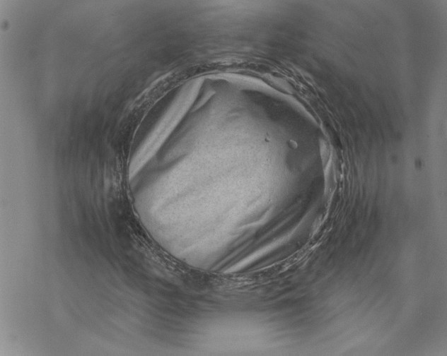 X0000069831158200606021329