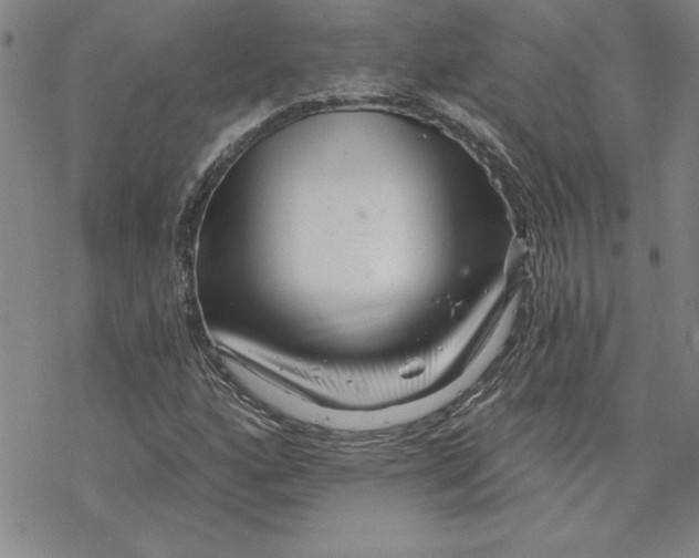 X0000069831160200606021329