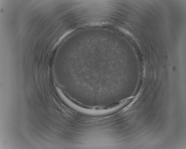 X0000069831161200606021329