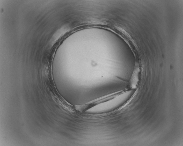 X0000069831163200606021329