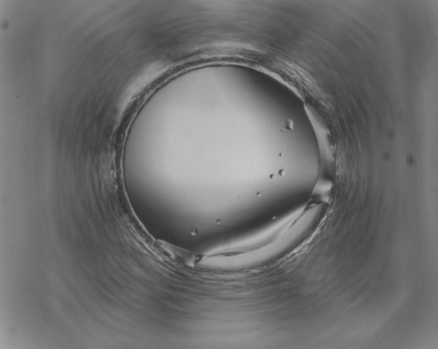 X0000069831164200606021329