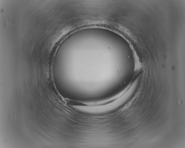 X0000069831165200606021329