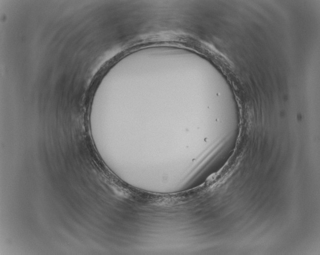 X0000069831166200606021329