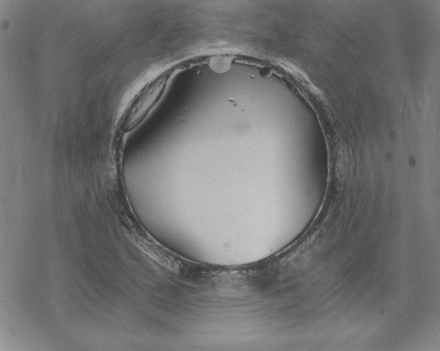 X0000069831167200606021329