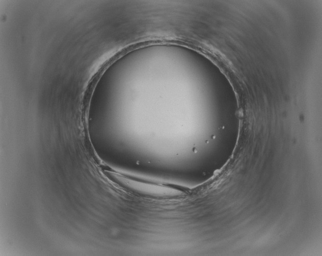 X0000069831168200606021329