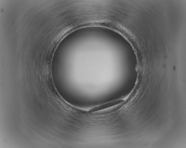 X0000069831169200606021329