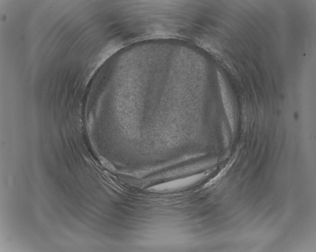 X0000069831170200606021329