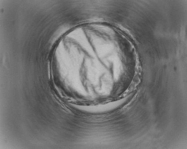 X0000069831171200606021329