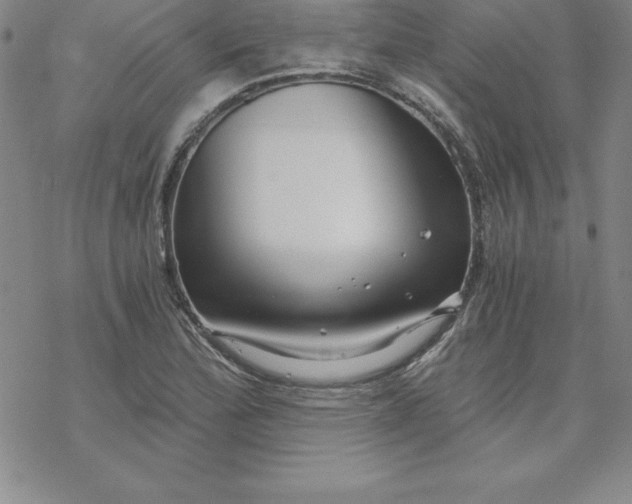 X0000069831172200606021329