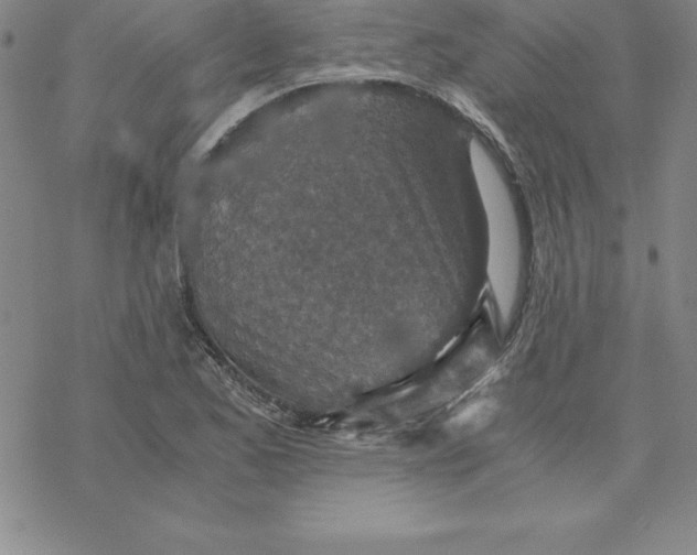 X0000069831173200606021329