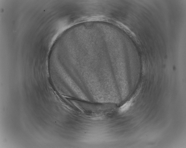 X0000069831174200606021329