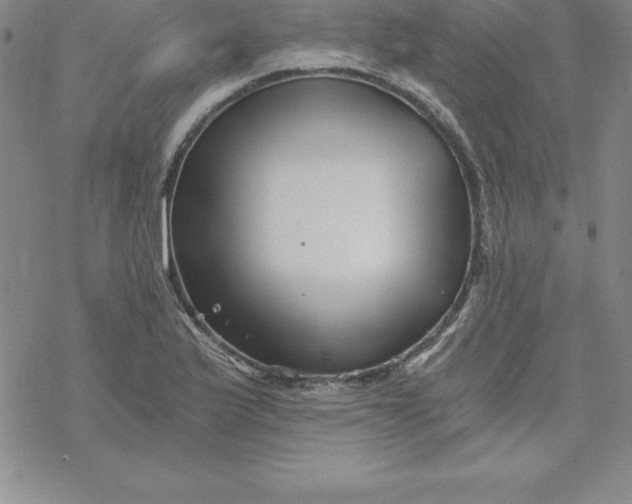 X0000069831175200606021329