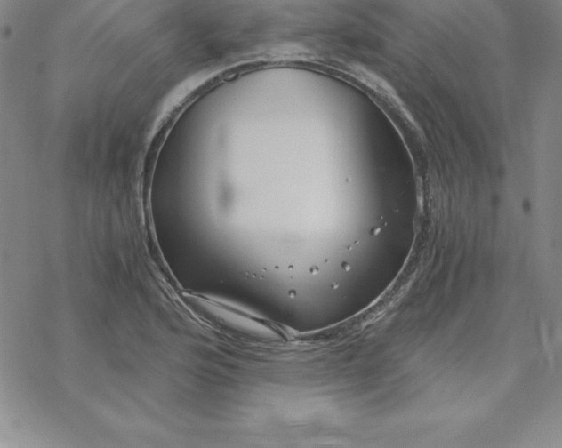 X0000069831176200606021329