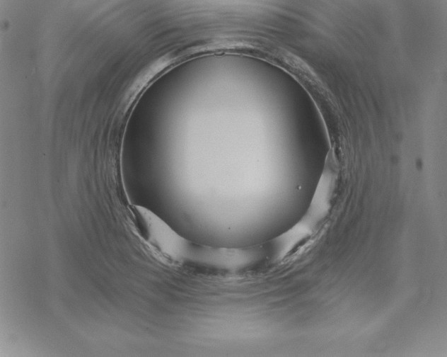 X0000069831177200606021329