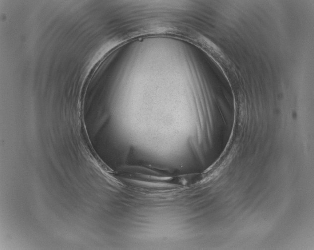 X0000069831178200606021329