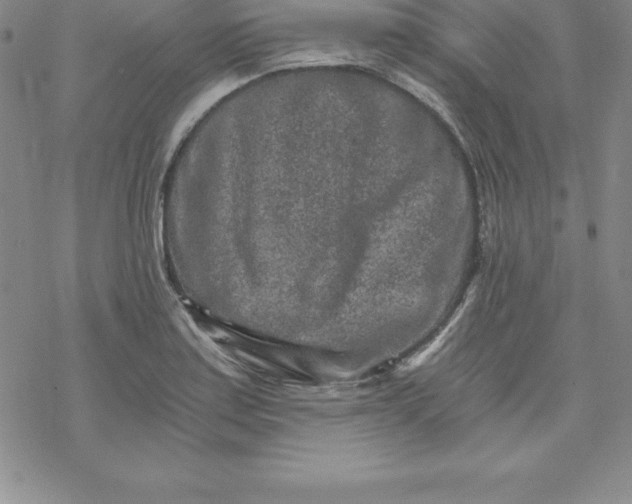 X0000069831179200606021329